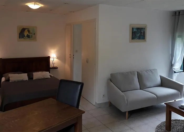 Domaine De Mezeyrac - Laguiole Lägenhet